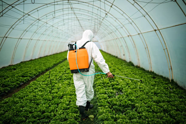 Best Best Pest Control Companies  in Aviston, IL