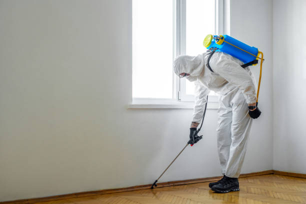 Best Pest Control Treatment  in Aviston, IL