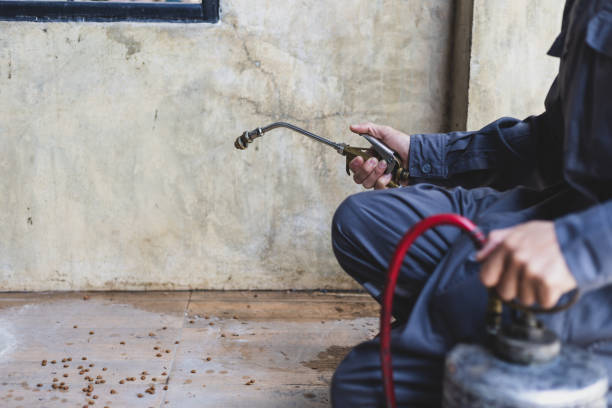 Best Affordable Pest Control Services  in Aviston, IL